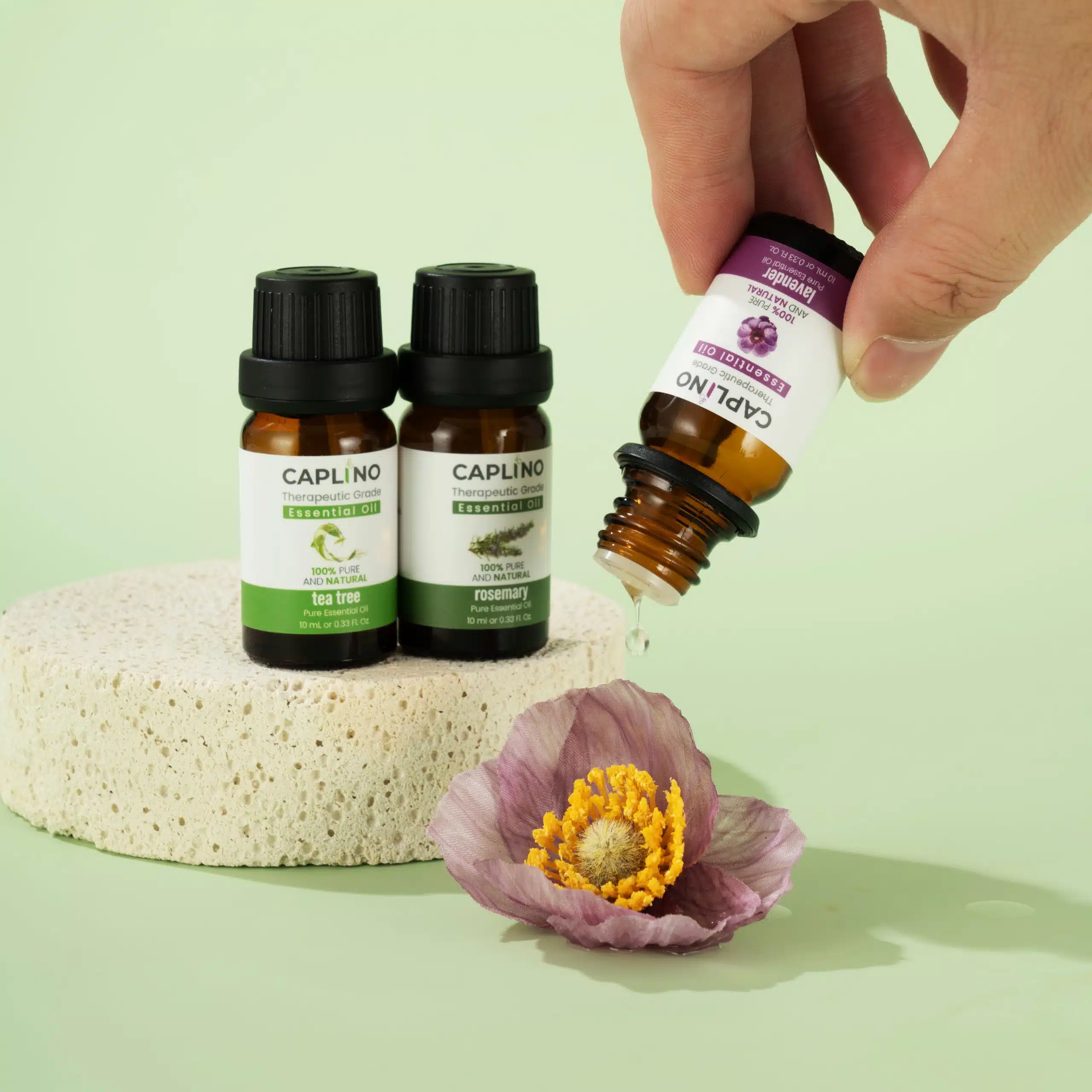 Caplino Tea Tree Essential Oil – 100% Pure & Natural (10ml)