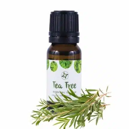 Skin Cafe Tea Tree Essential Oil 10ml