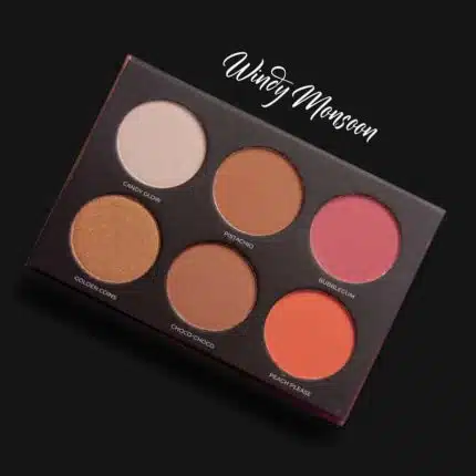 Nirvana Color Face Palette – Windy Monsoon 30gm